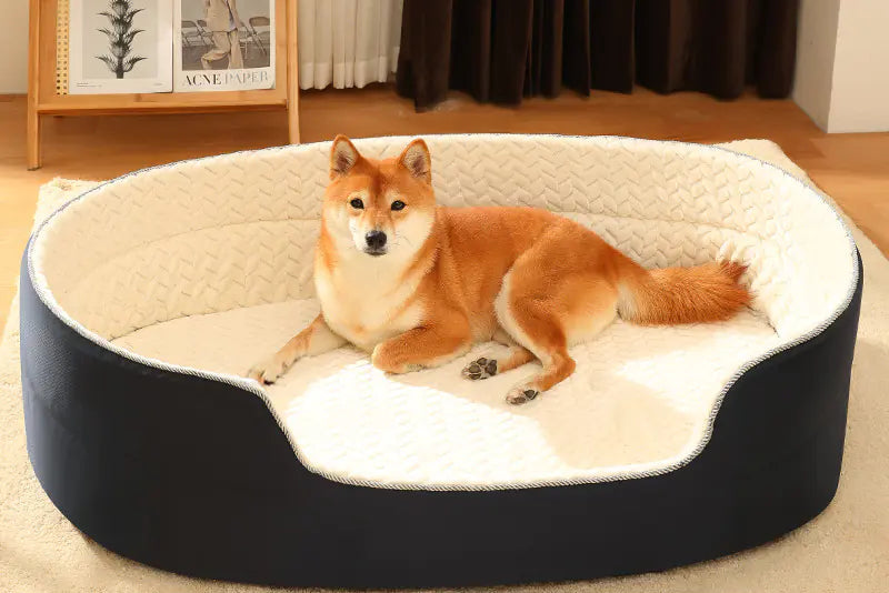 SlumberNest