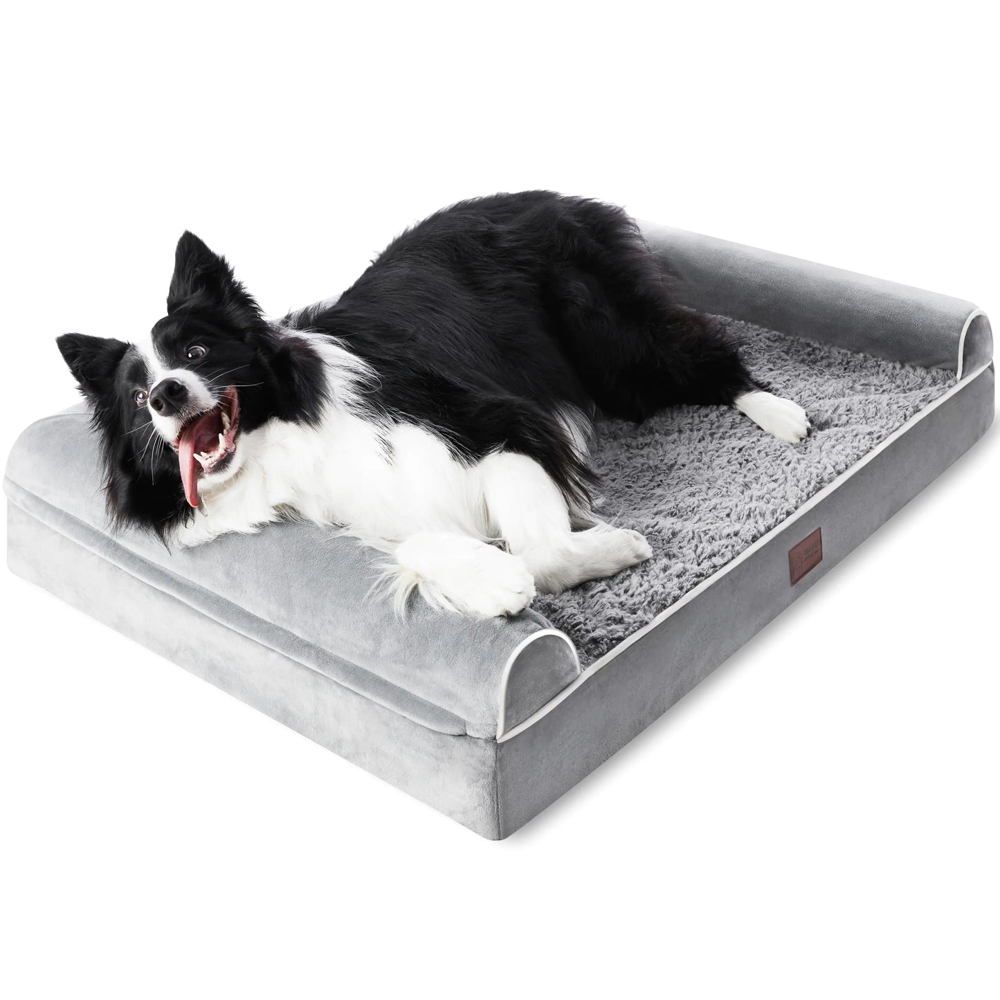 Pawsh Haven