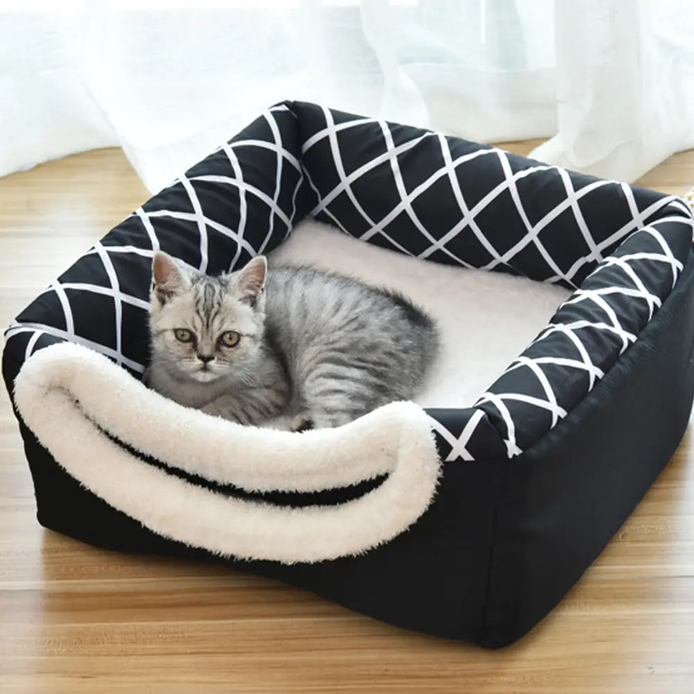 CozyCube Lounge